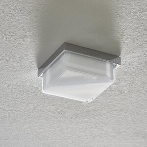Helestra Cosi plafonieră LED crom 11x11 cm, reglabil, Metalic, Hol, Metal, Modern