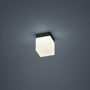 Helestra Keto plafonieră LED, cub, negru, Negru, Baie, Sticlă, Modern