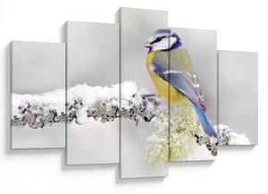Tablou - Tit albastru în pădure (150x105 cm)