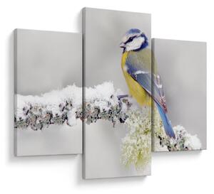 Tablou - Tit albastru în pădure (90x60 cm)