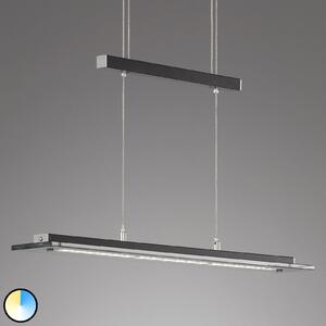 FISCHER & HONSEL Lampă susp. LED Tenso TW cu dimmer, negru 88cm, reglabil, Negru, Camera de zi / sufragerie, Metal, Modern