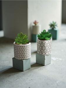 Sinsay - Plante ornamentale 2 pack - gri deschis