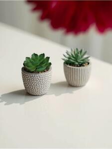 Sinsay - Plantă artificială decorativă 2 pack - gri deschis