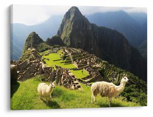Tablou - Machu Picchu (70x50 cm)
