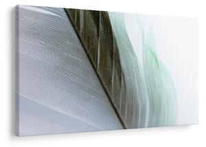 Tablou - Pene, macro (90x60 cm)