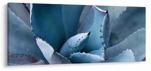 Tablou - Agave (120x50 cm)