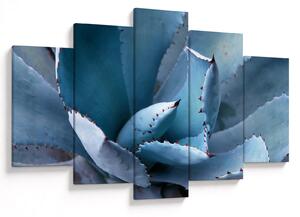 Tablou - Agave (150x105 cm)