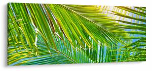 Tablou - Frunze de palmier (120x50 cm)