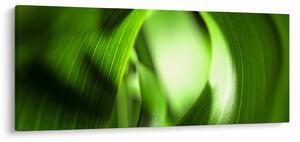 Tablou - Un fir de iarbă (120x50 cm)
