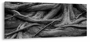 Tablou - Rădăcinile copacului (120x50 cm)