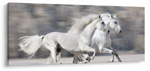 Tablou - Cai albi în timpul iernii (120x50 cm)