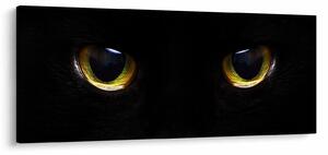 Tablou - Ochi de pisică (120x50 cm)