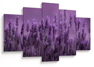 Tablou - Lavanda (150x105 cm)