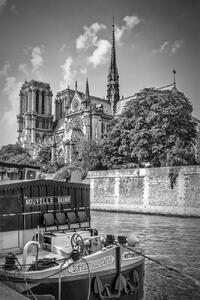 Fotografie de artă PARIS Cathedral Notre-Dame | monochrome, Melanie Viola, (26.7 x 40 cm)