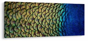Tablou - Pene de păun (120x50 cm)