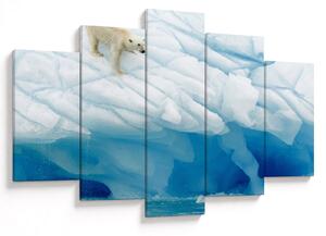 Tablou - Ursul polar (150x105 cm)