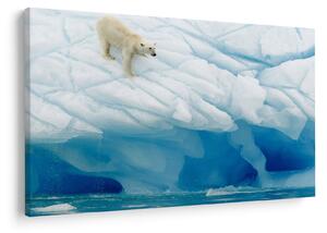 Tablou - Ursul polar (90x60 cm)