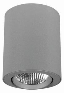 LTS Spot rotativ și pivotant cu LED-uri Button 300, 27 W, Gri, Hol, Metal, Modern