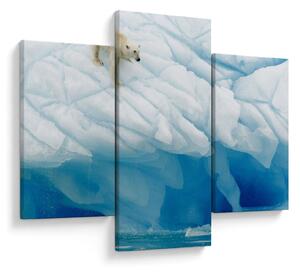 Tablou - Ursul polar (90x60 cm)