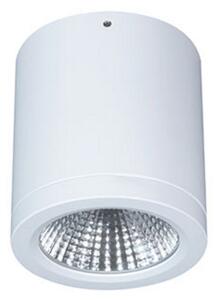 LTS Spot LED montat la suprafață Button Mini 100 IP54 55° 16 W, Alb, Hol, Metal, Modern