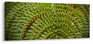 Tablou - Fern (120x50 cm)