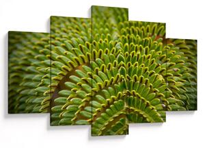 Tablou - Fern (150x105 cm)
