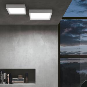 Linea Light Plafonieră LED Tara Q, unghiulară, 30 x cm, Alb, Hol, Metal, Modern