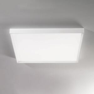 Linea Light Plafonieră LED Tara maxi, 74 cm x cm, reglabil, Alb, Camera de zi / sufragerie, Metal, Modern