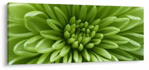 Tablou - Imagine macro a unei plante (120x50 cm)