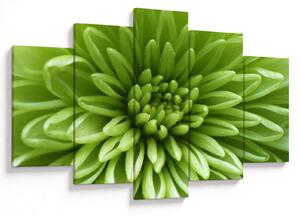 Tablou - Imagine macro a unei plante (150x105 cm)
