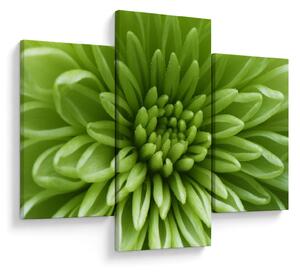 Tablou - Imagine macro a unei plante (90x60 cm)