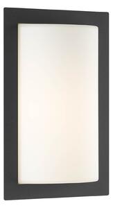 LCD Aplică de exterior Luis, grafit, E27, sticlă, oțel inoxidabil, aluminiu, Negru, Metal, Modern