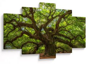 Tablou - Copac verde (150x105 cm)