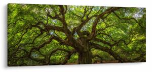 Tablou - Copac verde (120x50 cm)