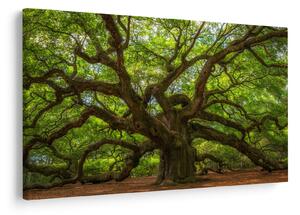 Tablou - Copac verde (90x60 cm)