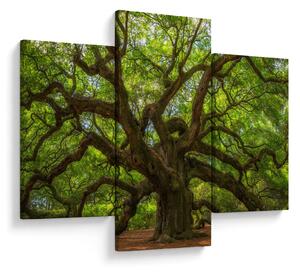 Tablou - Copac verde (90x60 cm)