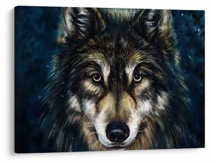 Tablou - Wolf (70x50 cm)