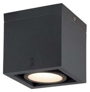Eskina Frame Plafonieră 3000/4000K Anthracite