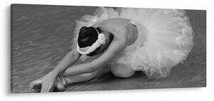Tablou - Balerină, alb-negru (120x50 cm)