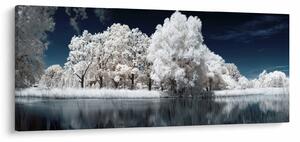 Tablou - Albă ca Zăpada Albă ca Zăpada Copaci (120x50 cm)
