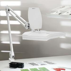Maul Lampă de mărire cu LED MAULvitrum, alb, clemă, metal, Alb, Studiu / Birou, Metal, Modern, Corpuri de iluminat cu clemă / cu fișă