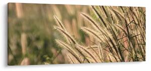 Tablou - Cereale (120x50 cm)