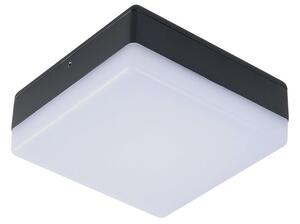 Lămpi de exterior Lucande, Thilo, Negru, Terasă, Plastic, Modern