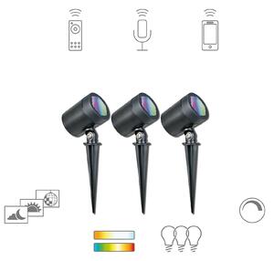 Tint Müller Licht LED Spot de exterior Flores, set 3, Negru, Plastic