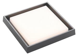Birta Lampă LED pentru exterior, gri închis, 27 cm, IP54