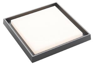 Birta LED plafonieră exterioară, gri închis, IP54, 34cm