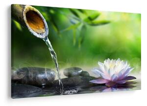 Tablou - Lotus (90x60 cm)