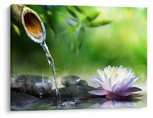 Tablou - Lotus (70x50 cm)
