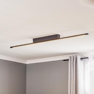 Quitani Plafonieră cu LED Tolu, negru, 118 cm, reglabil, Negru, Camera de zi / sufragerie, Metal, Modern