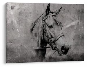 Tablou - Portret de cal (70x50 cm)